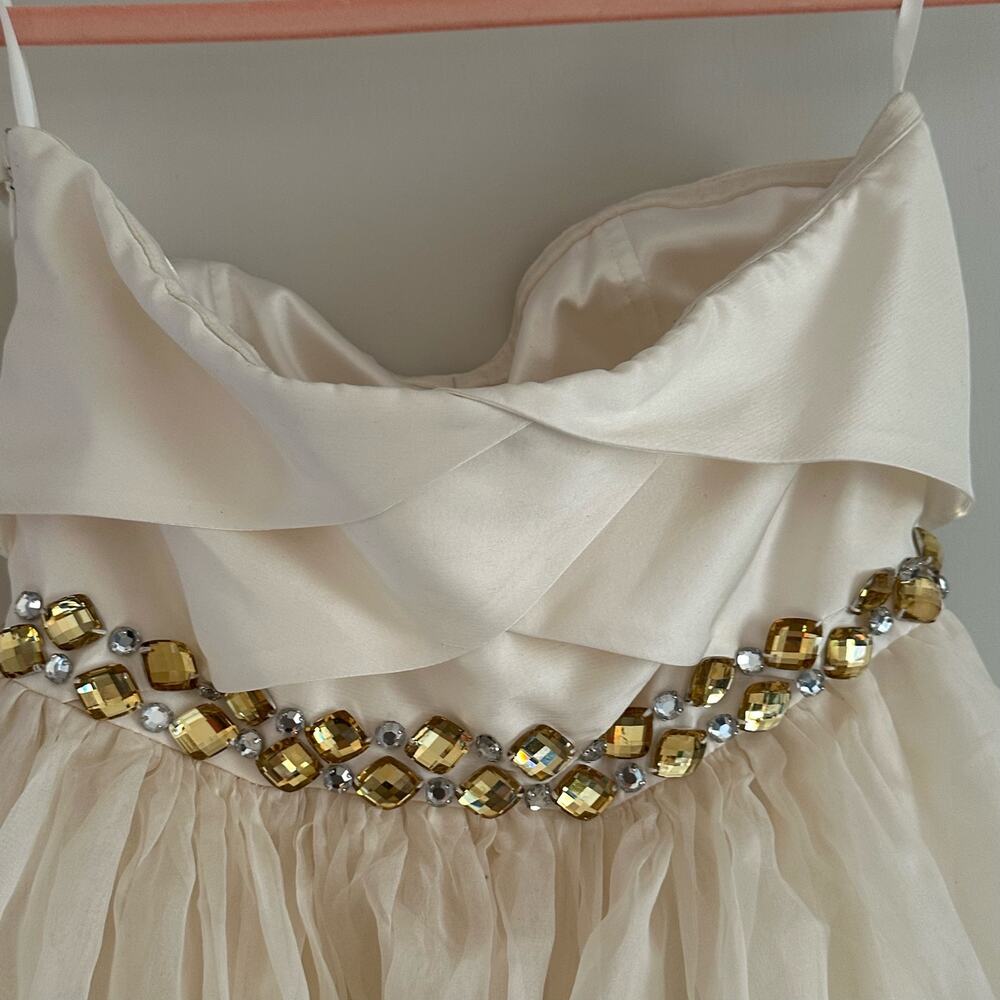 Rachel Gilbert Silk Tiered Crystal Embellished Strapless Princess Wedding Gown - Picture 11 of 15